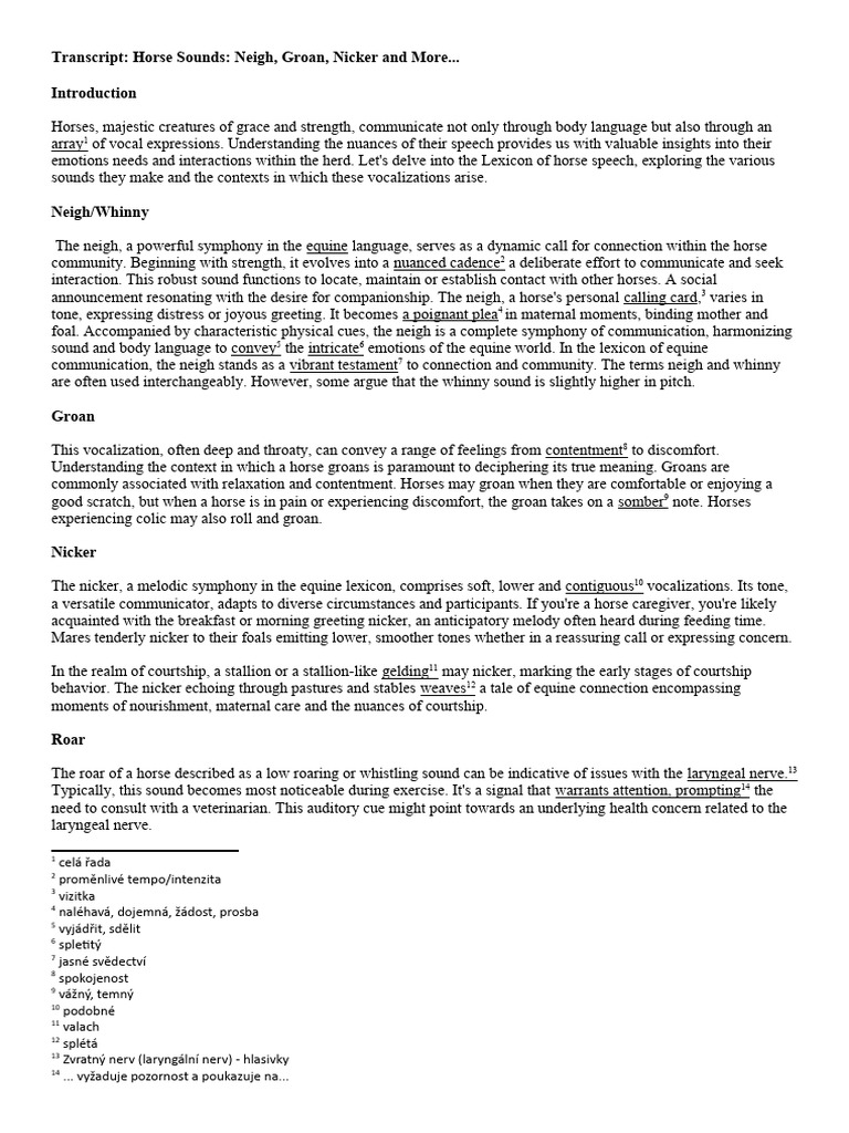 Horse sounds neigh, groan, nicker and more PDF Horses Curiosity