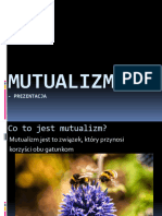 Mutualizm