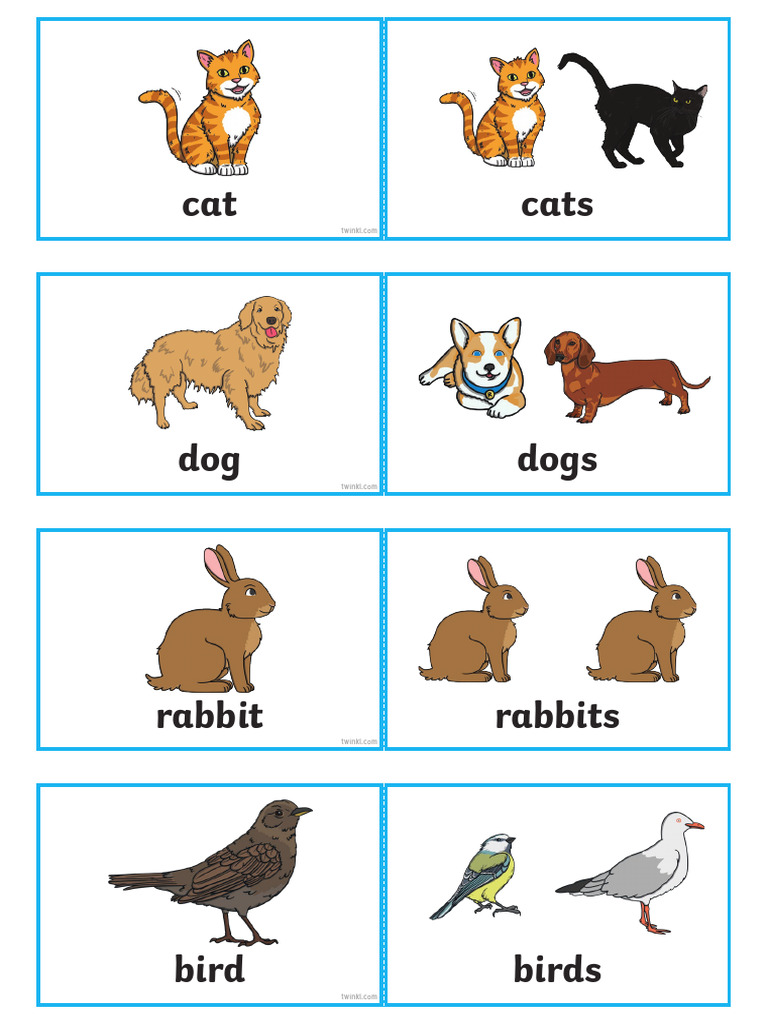 Animal and Object Plurals Guide | PDF