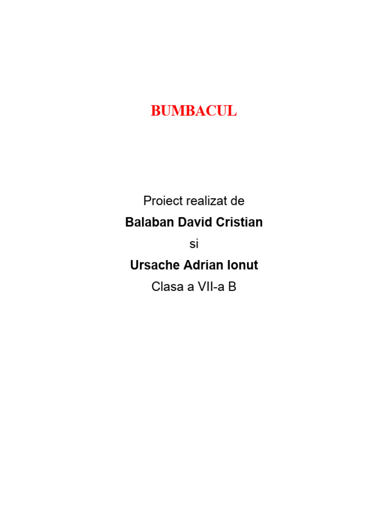 Bumba Cul | PDF