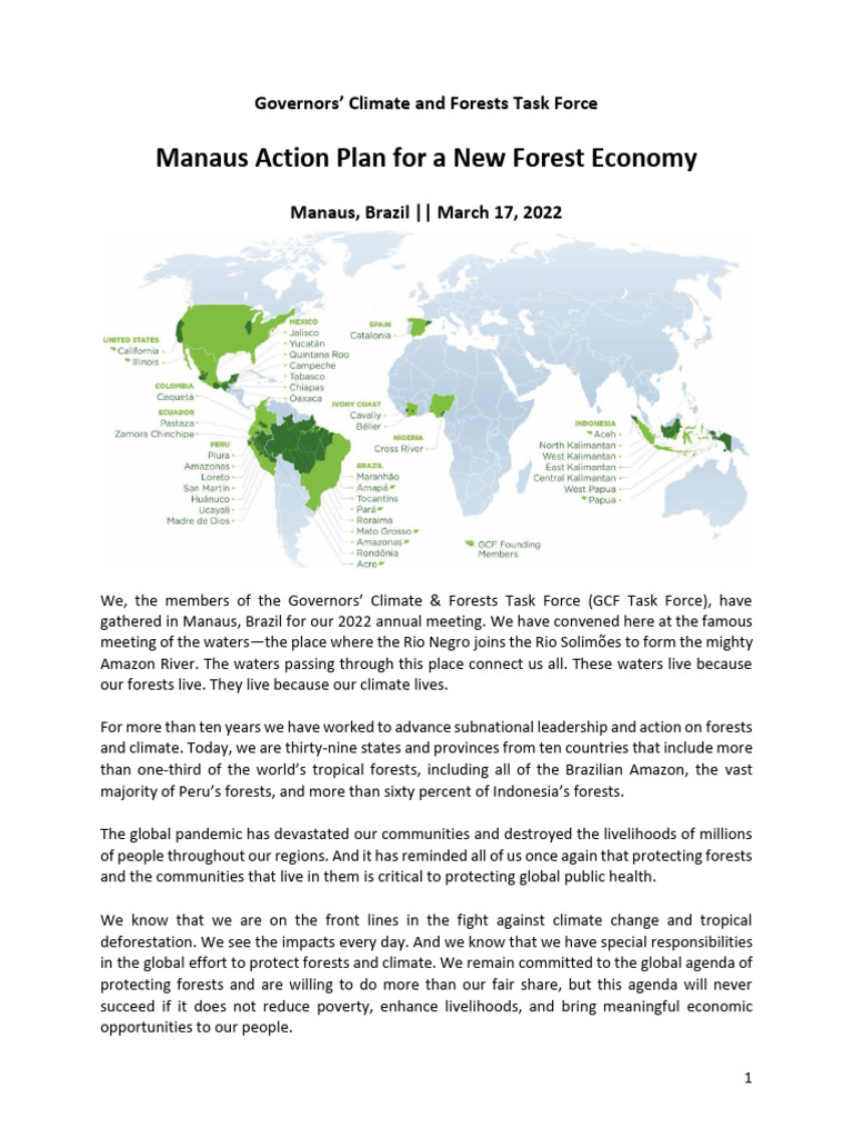 Manaus Action Plan For A New Forest Economy Pdf Deforestation Forests