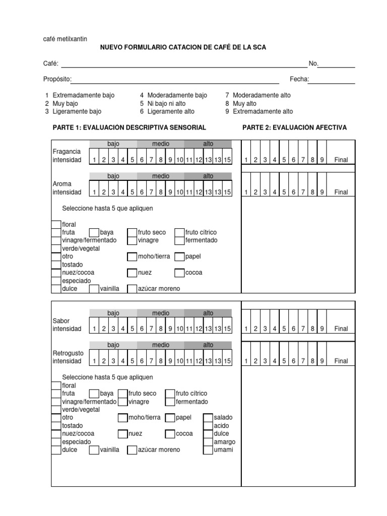Formato SCA para Cata de Café | PDF | café | Ciencia de los Alimentos
