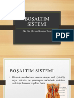 Bosatim Sistemi 06052024