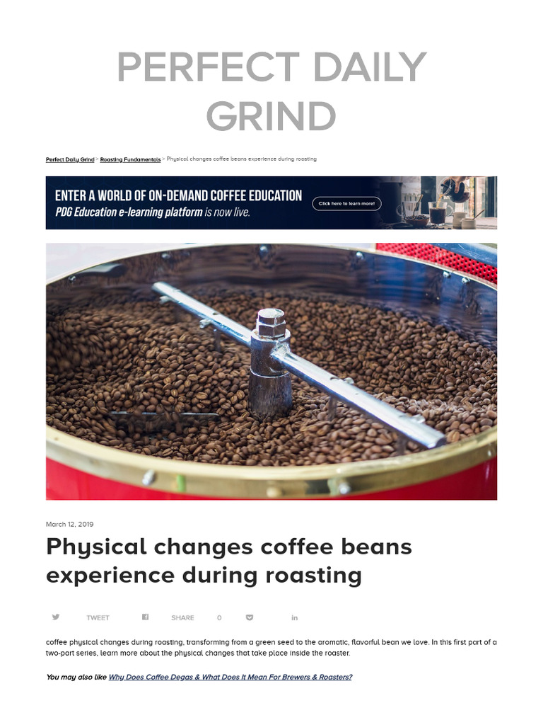 Physical Changes Coffee Beans Experience During Roasting - PDG | PDF ...