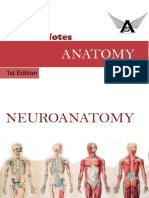 8.AGAM - Neuroanatomy Notes