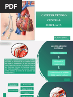 Cateterismo Venoso Central: Guía Técnica | PDF | Medicina de Cuidados ...