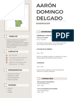 Currículum Vitae CV Diseñador Aarón