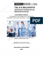 Plan Auditoria de La Calidad en Salud Hospital Bellavista 2024