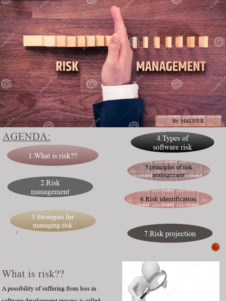 Software Risk Management Strategies | PDF | Risk Management | Risk