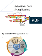 5 SHPT- Su tai ban DNA