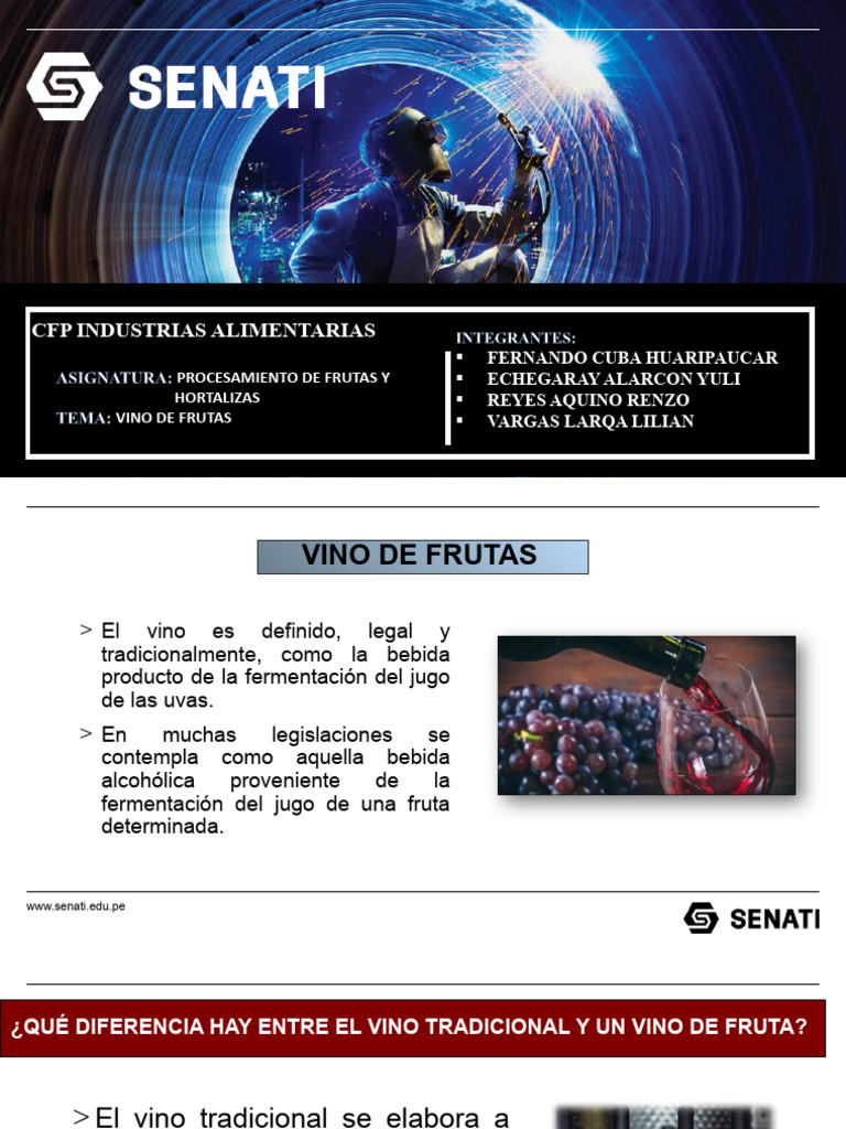 Vino De Fruta Pdf Vino Fermentación