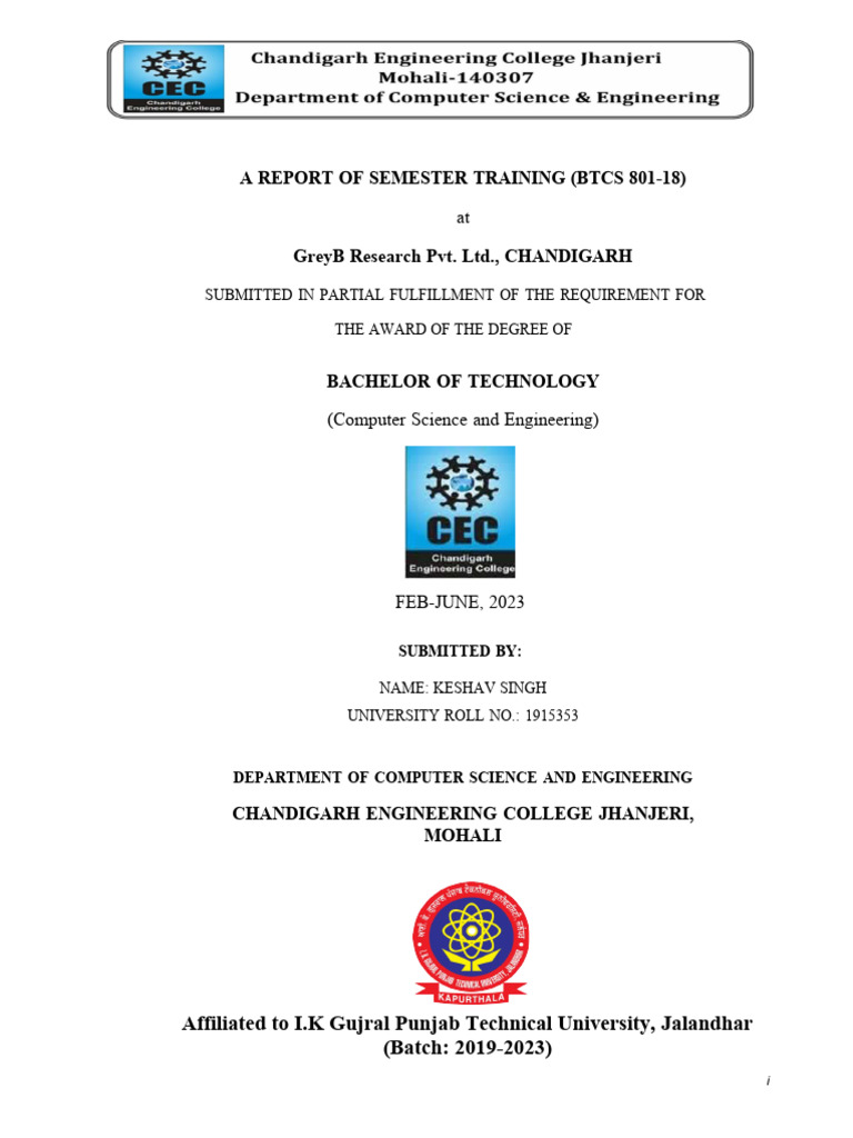 Aashu Final Report Pdf Patent Prior Art