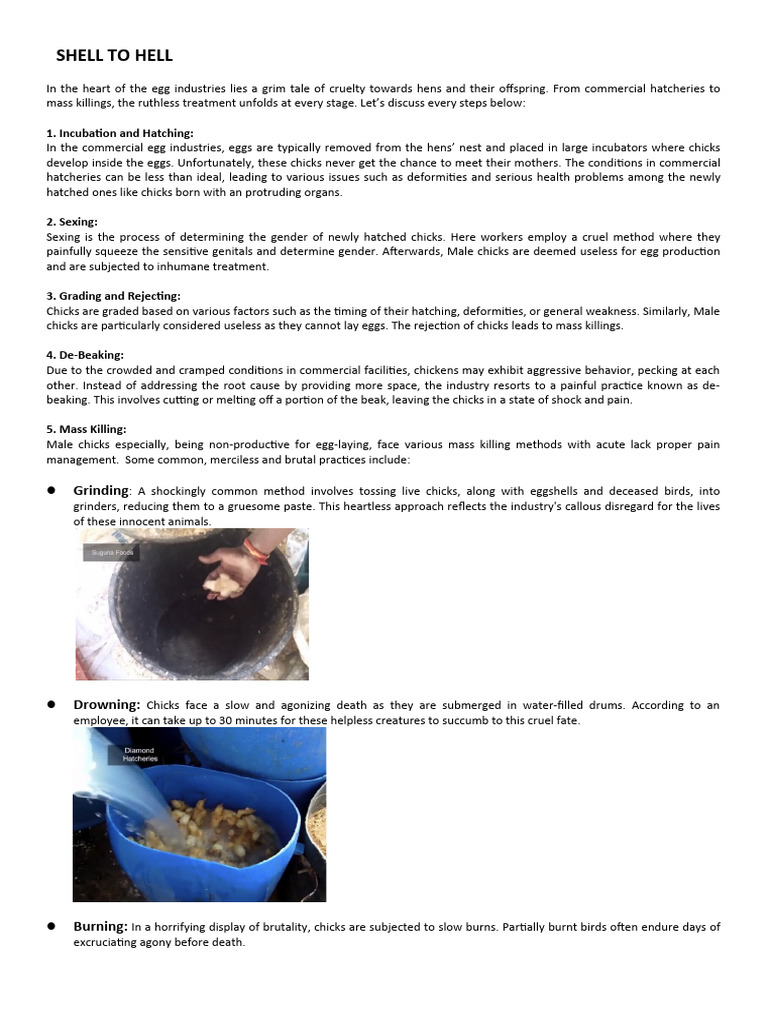 Shell To Hell | PDF | Climate Change Mitigation | Climate Change