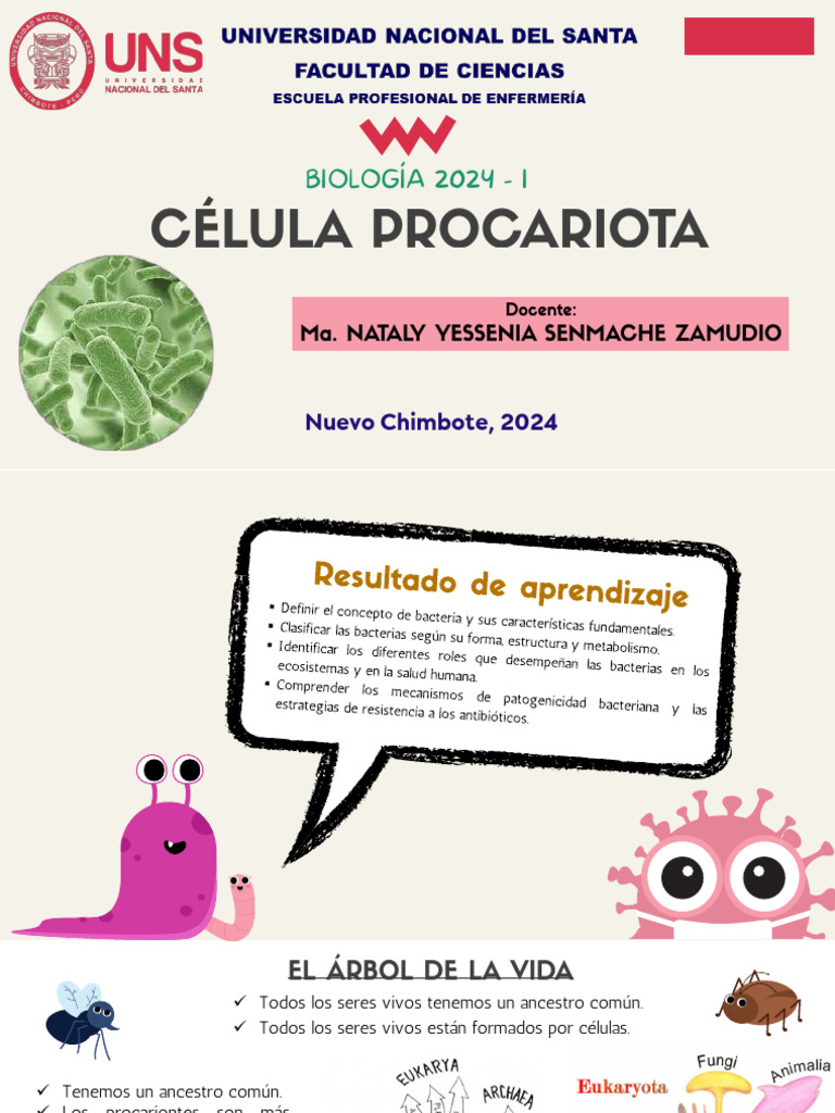 3.CÉLULA PROCARIOTA | PDF | Las bacterias | Biología Celular)