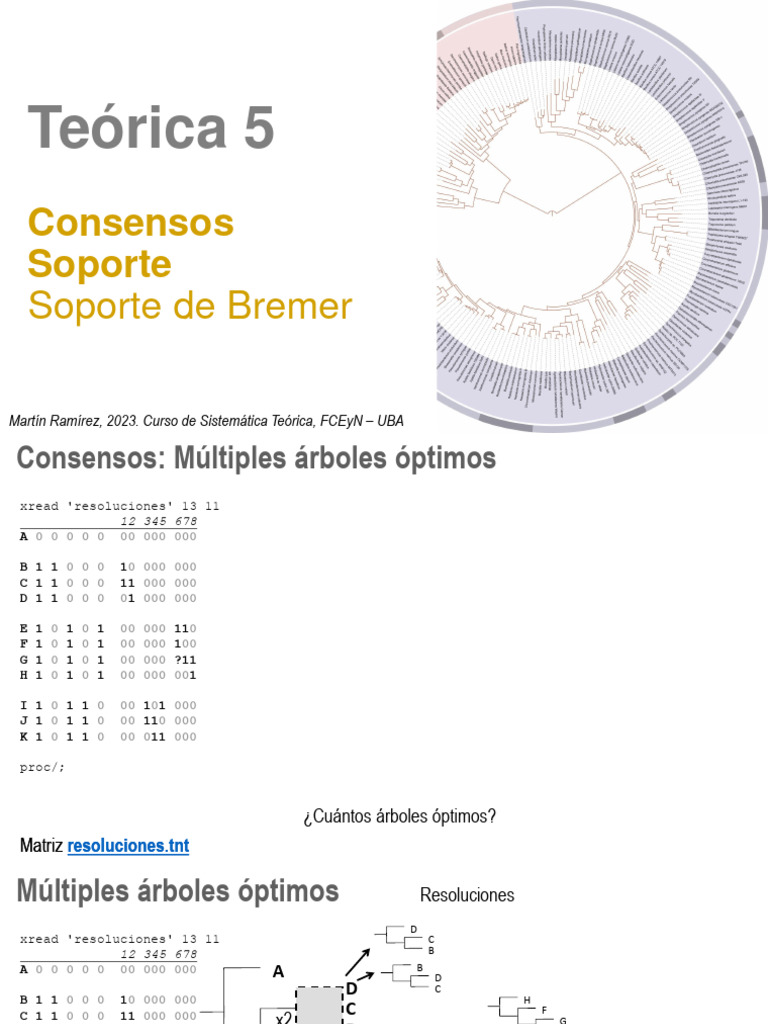 Consensos y Soporte en Filogenética | PDF | Filogenética ...