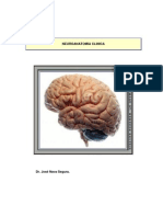 Neuroanatomia Clínica de Nava Segura