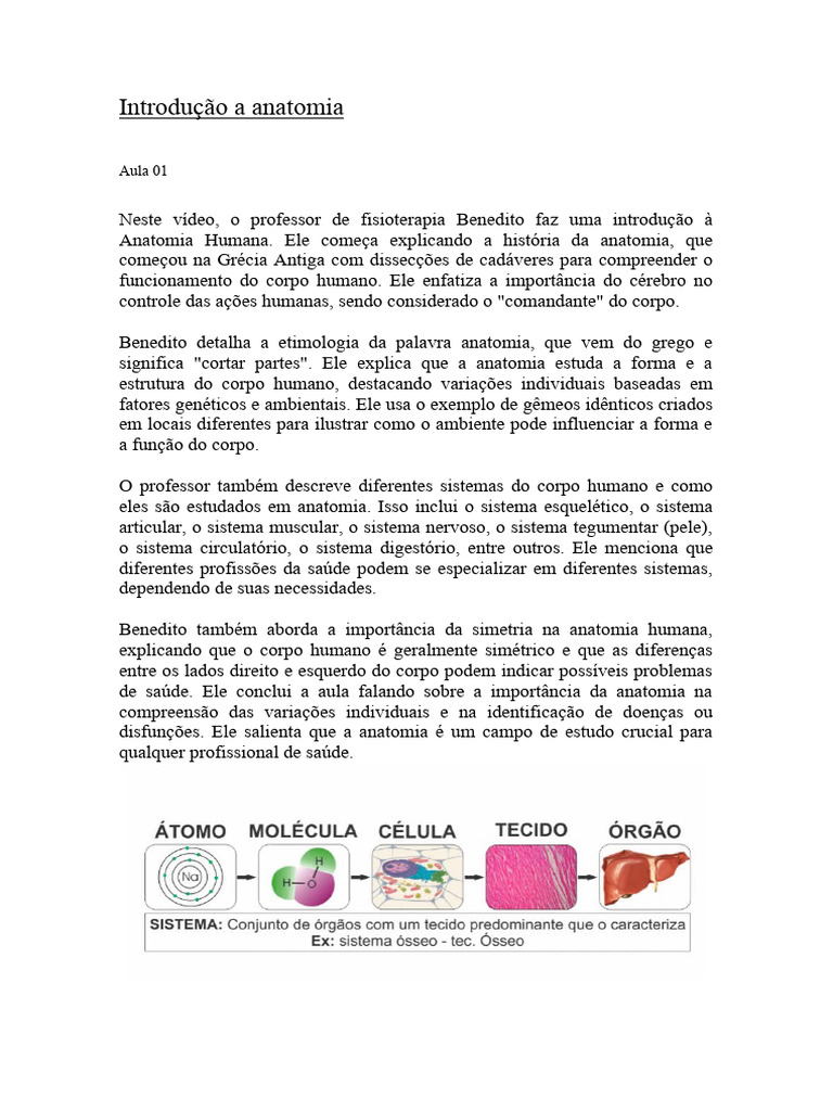 Anatomia Pdf Osso Anatomia