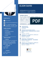 CV David Tocto