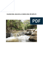 Calidad del agua en la cuenca del Río Dipilto (Autoguardado)