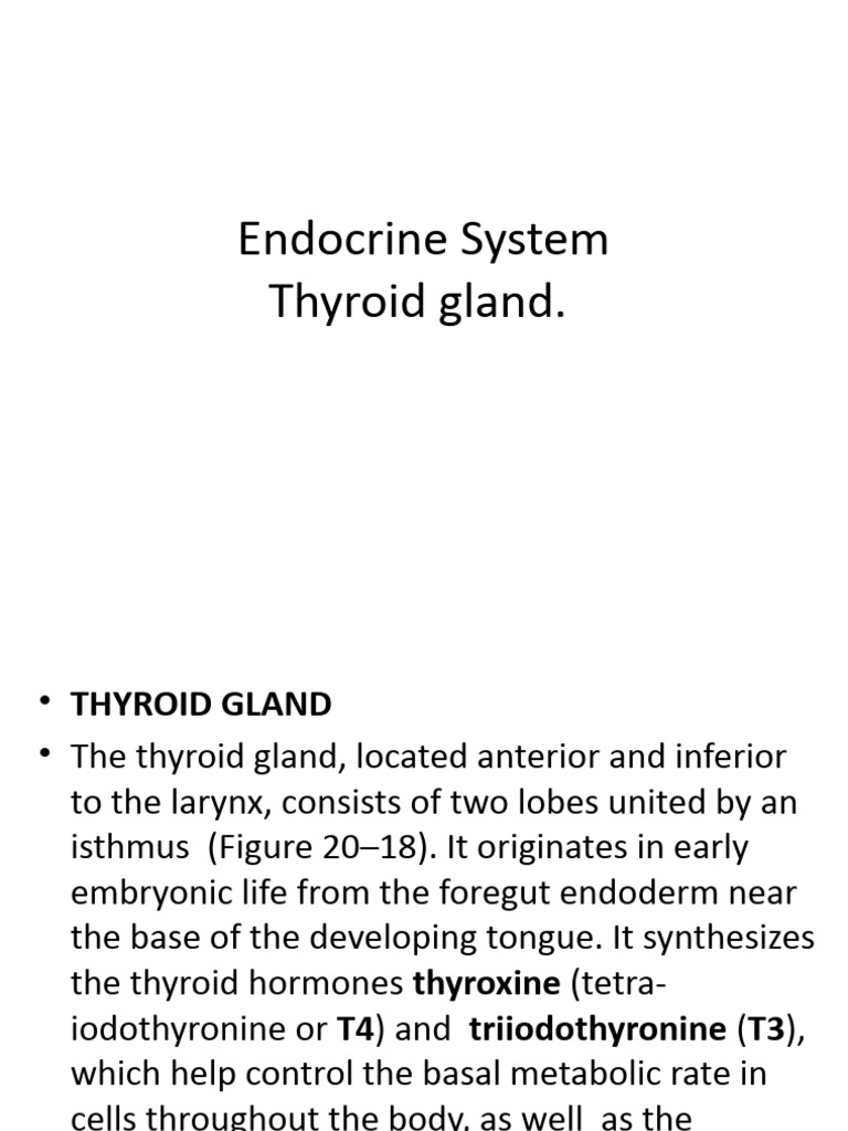 Endocr. Syst. Thyroid Gl. - 2023 | PDF | Thyroid | Thyroid Stimulating ...