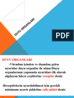 Duyu Organları