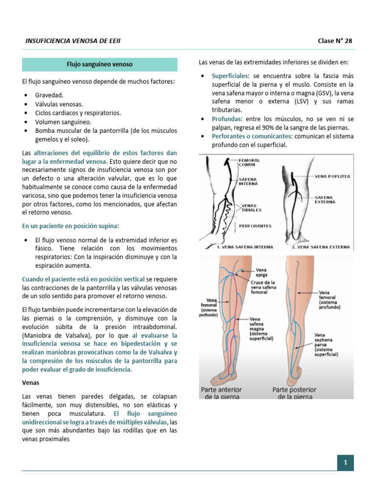 Insuficiencia Venosa en EEII: Diagnóstico y Causas | PDF | Venas ...