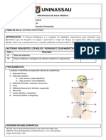 07 Roteiro Sistema Endócrino
