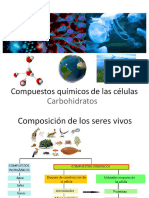 Composición química de la célula. Carbohidratos 