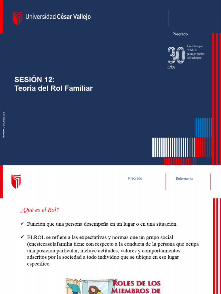 Teoría del Rol Familiar en Enfermería | PDF | Familia | Bienestar