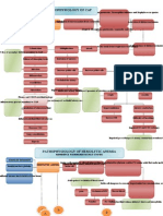 Pa Tho Physiology Community Aquired Pneumonia and Anemia