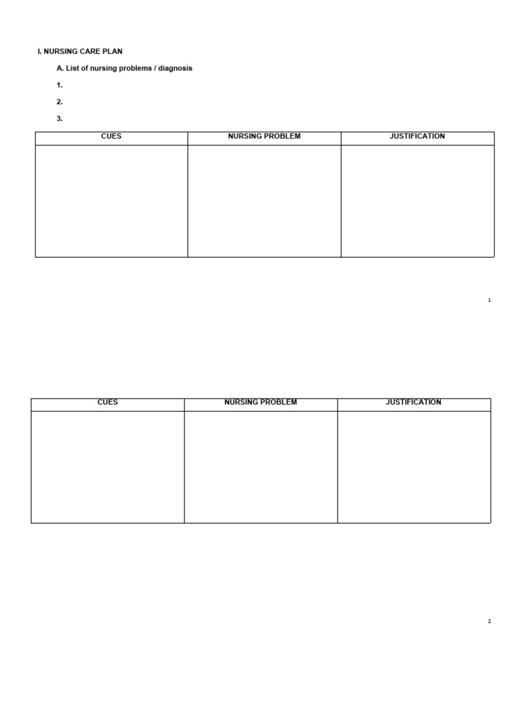 Nursing Care Plan Template Guide | PDF