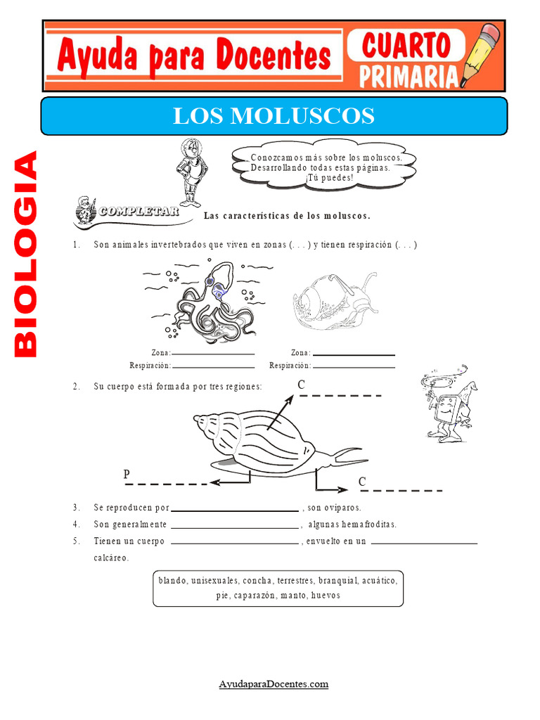 Los Moluscos para Cuarto de Primaria | PDF