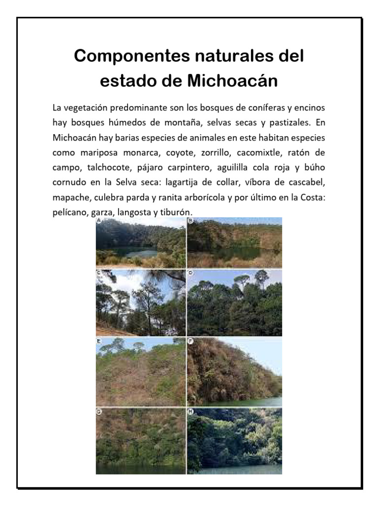 Componentes Naturales de Michoacán | PDF | Geografía Física | Ciencias ...