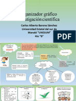 ACTIVIDAD 1 Organizador Grafico Investigacion Cientifica