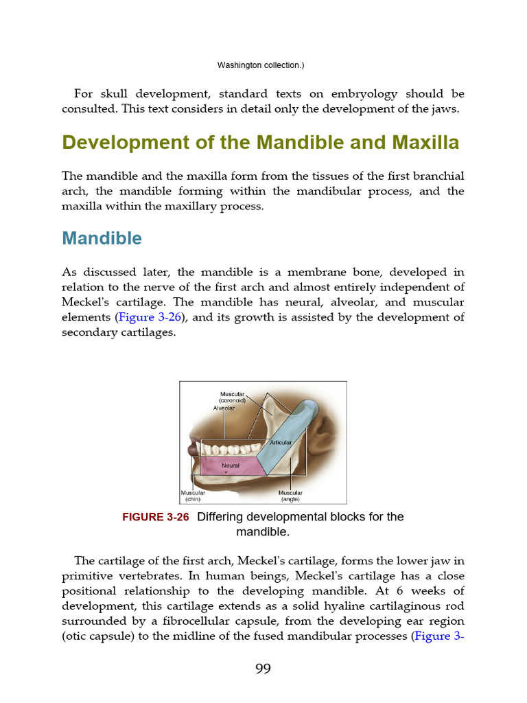 Antonio nanci ten cate s oral histology development structure