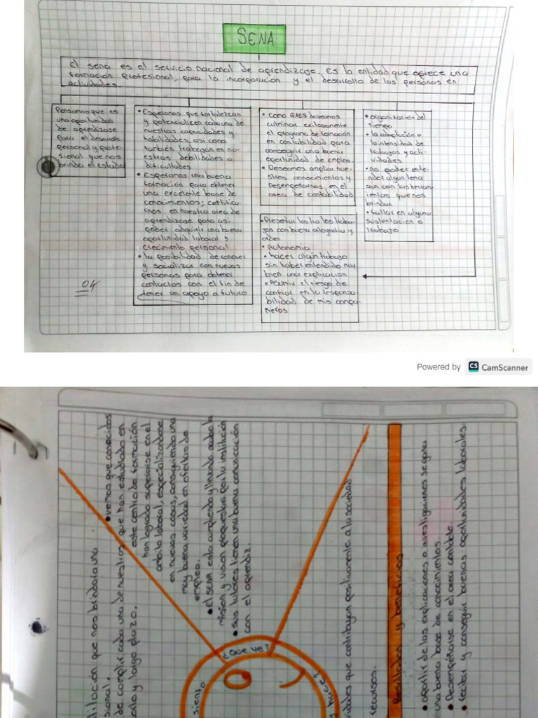 Guia Induccion 1 Pdf