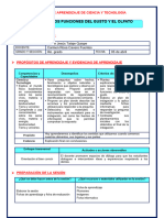 Explicamos Funciones Del Gusto y El Olfato