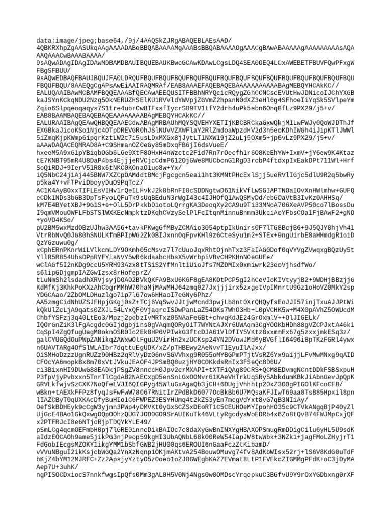 Base64 Image Data Overview | PDF