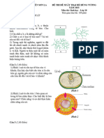 Sinh_CSL_Đề DXTHHV 2023