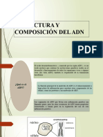 CLASE 1. de Genes a Proteínas