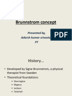 Brunnstorm Approach