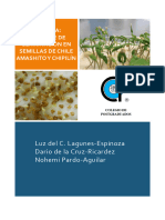 Latencia. Limitantes de Germinación en Semillas de Chile Amashito y Chipilín