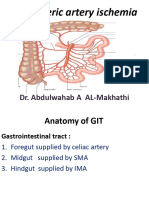 Mesenteric artery ischemia pdf