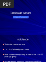 Testicular Tumors Last