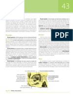 Anatomia Del OJO MMM