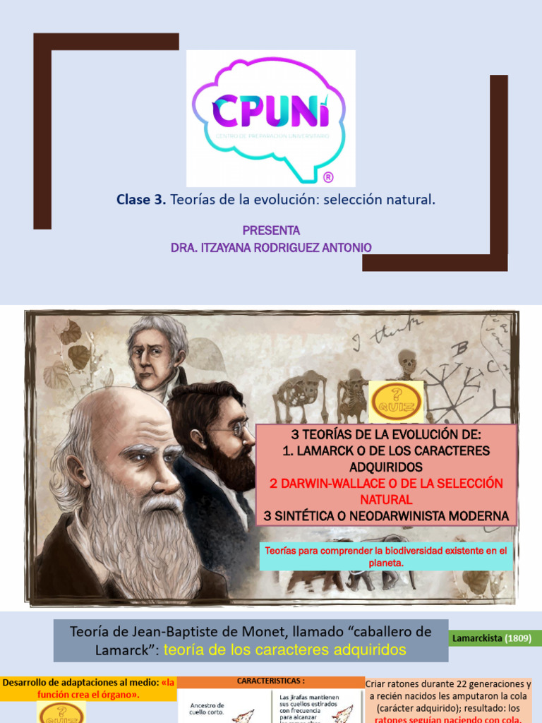 Clase 3. Teorias de La Evolucion Seleccion Natural | PDF | Evolución ...