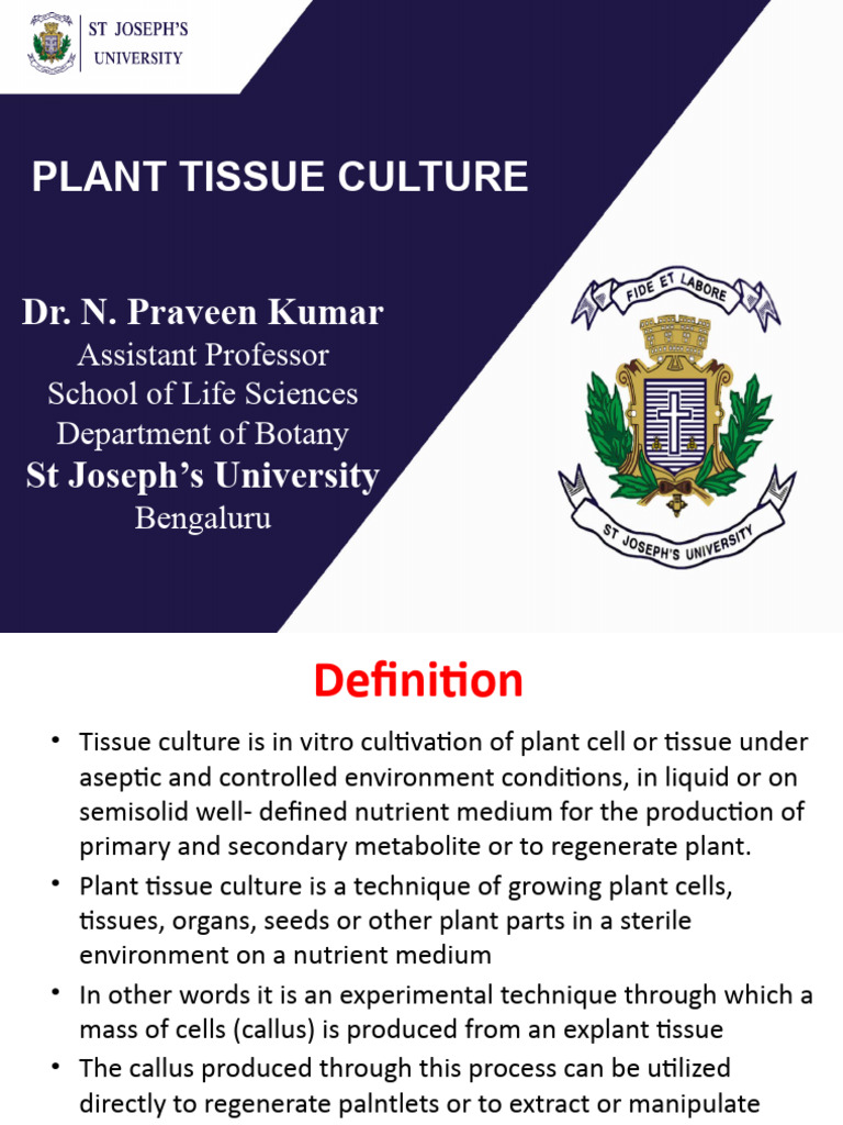 Plant Tissue Culture | PDF | Plant Nutrition | Plant Hormone