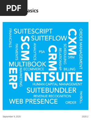 NetSuite Basics
