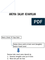 Anemia Dalam Kehamilan