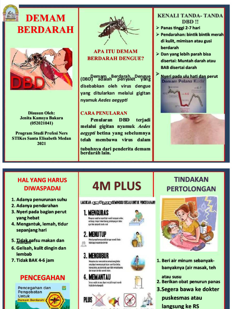 Leaflet pdf 2 pdf